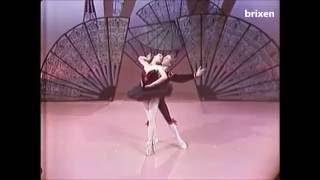 Don Quixote PDD variations coda  Tallchief Bruhn  early 1960s [upl. by Nicolais960]