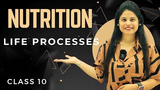 Nutrition  Chapter 5  Introduction  Class 10 Science  NCERT [upl. by Annoyk553]