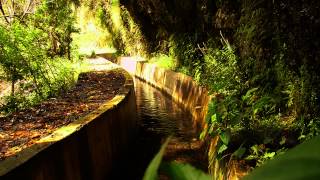 Levada do Norte Percurso a Pé Central da Serra de Água Eira do Mourão [upl. by Asereht]