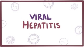 Viral hepatitis A B C D E  causes symptoms diagnosis treatment amp pathology [upl. by Annaeirb257]