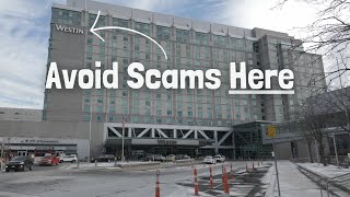 How to Avoid Hotel Room Scams at Furry Conventions [upl. by Moran]