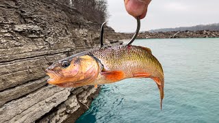 Fishing Off a CLIFF for MONSTER Fish Insanely Deep [upl. by Ilise641]