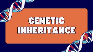 Pleiotropy Vs Epistasis Vs Polygenic inheritance [upl. by Dewey]