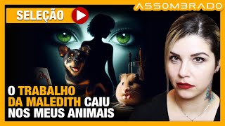 quotINVEJA MORTALquot  O TRABALHO DA MALEDITH CAIU NOS MEUS ANIMAIS [upl. by Gitlow]