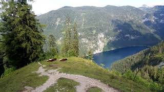 View from Hiking trail above the lake Gosausee in Austrian Alps 082024 [upl. by Delamare]