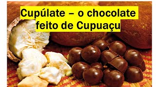 COMO FAZER O FAMOSO CUPULÁTE CHOCOLATE DE CUPUAÇÚ 🍫🍮 [upl. by Atiral]