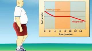 How Does Exercise Impact Weight Loss [upl. by Annorah]