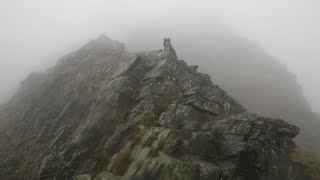 Sharp Edge Blencathra October 17th 2024 [upl. by Naujej]