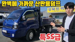 풀보강 현장 바로투입가능 1톤 산악용 산판용 4륜덤프트럭 후륜복륜개조까지 봉삼이덤프 [upl. by Ynffit]