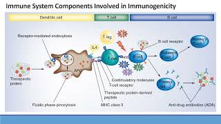 Model Informed Drug Development Approaches for Immunogenicity Assessments Workshop [upl. by Cosette]