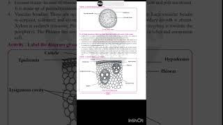 Class 11 Biology Practical 🦠 practical 5 biologypractical tim class11biologypractical [upl. by Naquin]