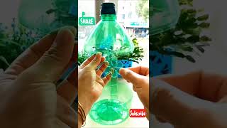 New unique idea shorts remix viralvideo gardening gardeningtips [upl. by Schnapp]