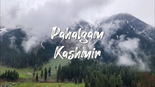 Pahalgam Kashmir  India  Kashmir [upl. by Idnahr989]