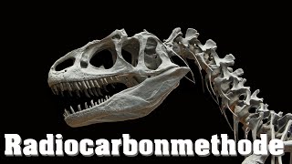 Datierung von Fossilien Radiocarbonmethode [upl. by Yks312]