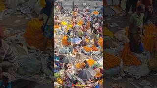 Mullick Ghat Flower Market । Kolkata Flower Market 🌹🌺 Market । Short Flower Market video [upl. by Senskell]