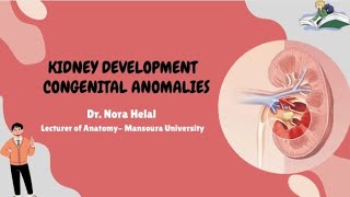 Kidney part 4 congenital anomalies [upl. by Clite]