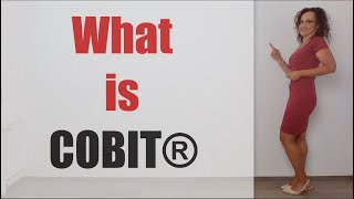 What is COBIT [upl. by Ellehcrad187]