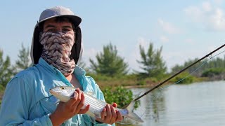 Fly Fishing Bonefish  Fishing Cozumel [upl. by Pembrook]