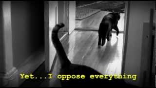 quotSkat The Existential Catquot A tribute to Henri le Chat Noir [upl. by Carbrey]