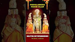 Podhalarndha Pozhir Solaip  Mudhal Pathu  Nalayira Divya Prabandham  SVD Spiritual Manthras [upl. by Elleiram]