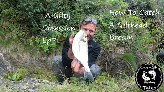 How To Catch Gilthead Bream  A Gilty Obsession EP7  Cornwall Fishing [upl. by Dace155]