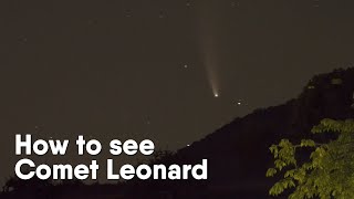 How to see the comet Leonard as it nears Earth in coming days [upl. by Raquel918]