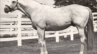 25 Greatest American Race Horses [upl. by Astrid]