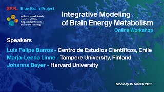 KAUST amp EPFL Blue Brain Project workshop ‘Integrative Modeling of Brain Energy Metabolism’ Session 2 [upl. by Morna]