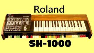 ROLAND SH1000 Analog Synthesizer 1973  HQ DEMO [upl. by Nnodnarb]