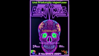 ESTUDIO POLYMARCHS 02 NOVIEMBRE 2024 [upl. by Odraode]