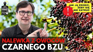 Nalewka z owoców czarnego bzu Smaczna zdrowa ale trzeba wiedzieć jak zrobić żeby się nie zatruć [upl. by Athalia]