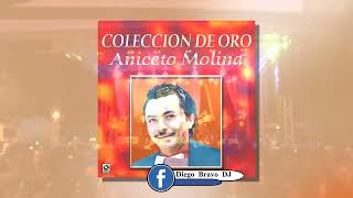 Aniceto Molina Mix 2024  Diego Bravo DJ [upl. by Tawnya718]