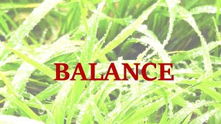 Balance mai 2019 ♎ [upl. by Nivets]