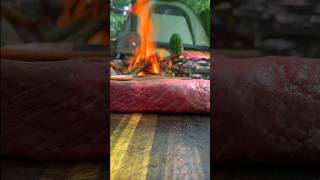 camping and cooking thick tender meat over a campfire asmr food cooking camping shorts [upl. by Eignat]