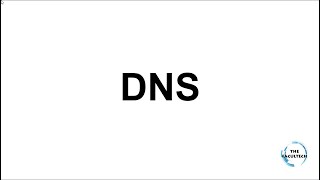 DNS Explicado en 24 minutos [upl. by Bertila]