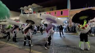 Carnaval Papalotla 2024 Barrio Potrero La Culebra [upl. by Nedda]