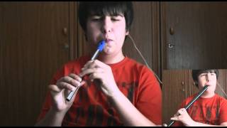 Cooleys reel  Tin Whistle amp Low Whistle [upl. by Mik]