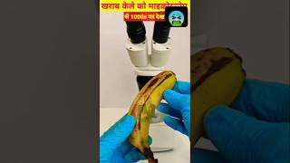 Banana 😱केला undar the microscope view facts shorts shortsvideos [upl. by Elagibba]