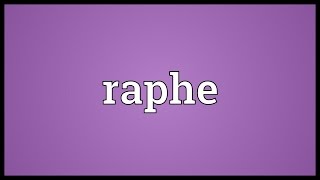 Raphe Meaning [upl. by Hausner670]