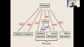 keystone species and biodiversity [upl. by Stouffer]