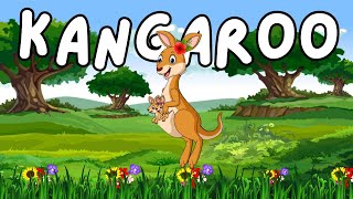 KANGAROO Song  Fun Animated Cartoon Video for Kids by JBBearz [upl. by Eizzil721]