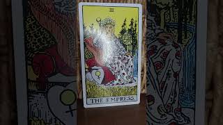 The Empress Tarot Meaning tarot majorarcana selfmastery divinefeminineenergy nurture [upl. by Abdul]