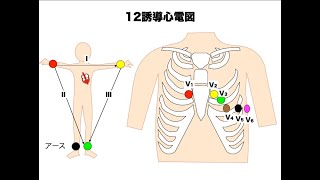 ゼロからの心電図 [upl. by Maggy]