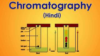 Chromatography 15 Hindi [upl. by Tali626]