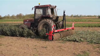 Semis direct sous couvert végétal [upl. by Ialda]