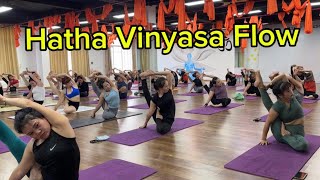 Hatha Vinyasa Flow [upl. by Moscow]