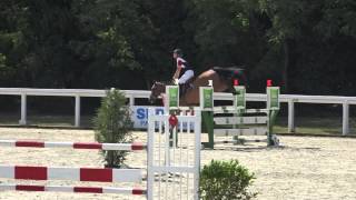 Akistane de Kergane  Vainqueur CIR 5 ans Le Lion dAngers [upl. by Nerrat]