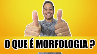 O QUE É MORFOLOGIA [upl. by Salaidh]