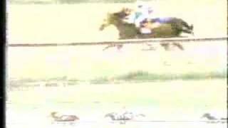 Clasico Hipodromo La Rinconada 1990 [upl. by Pfeffer243]