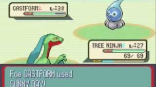 Pokemon Sapphire Walkthrough Part 40 Freakin Route 120 [upl. by Tavy]